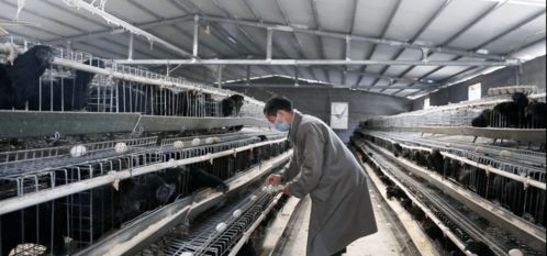 過(guò)去五年,奮斗的汗水換來(lái)成功的喜悅